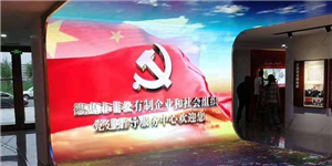 吉林省德惠市非公有制企業(yè)和社會組織黨建指導(dǎo)服務(wù)中心天幕地磚曲屏組合